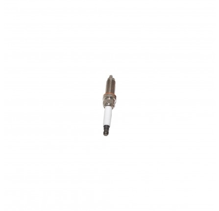 Spark Plug 3.0L and 5.0L