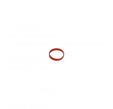 Inlet Manifold Gasket