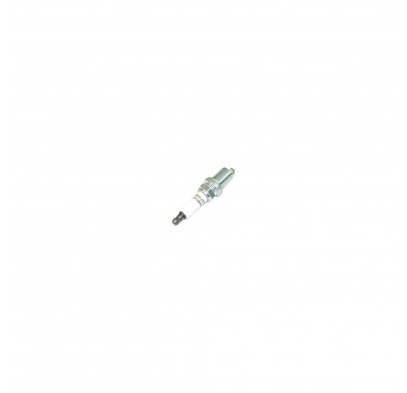 Champion Spark Plug Discovery 2 V8 and Range Rover V8 1995-2002