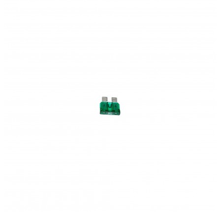 Blade Fuse 30 Amp