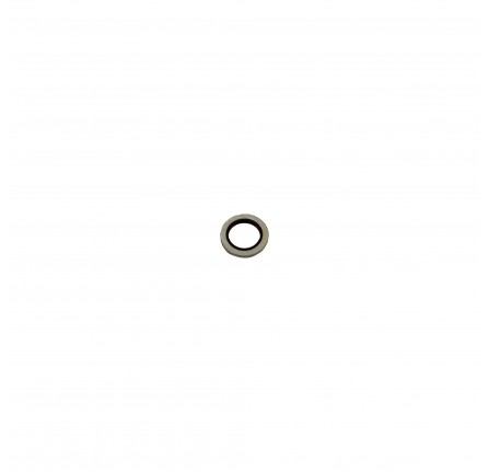 Sealing Washer Pas Pump