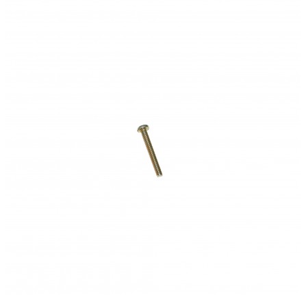 Screw Pan Head