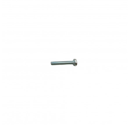 Set Screw Pan Head M8 x 50mm Rear Door Hinge to Body