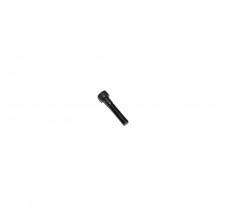 Screw M8 x 40 Screen Hinge 90/110 up to 1991