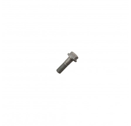 OEM Brake Caarrier Bolt M12 Flanged