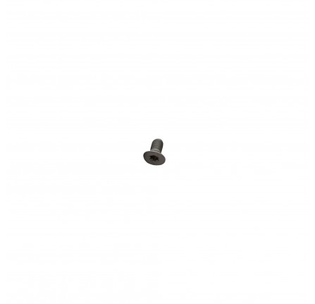 Front and Rear Disc Fixing Screw