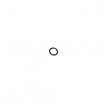 Genuine O Ring Large Push Rod Tube.