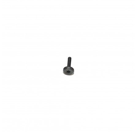 Screw 6x31.5mm Torx