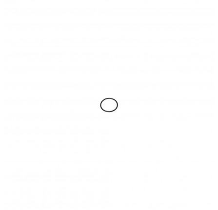 O Ring Seal