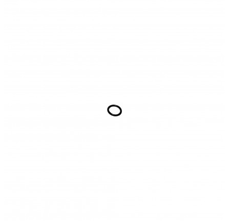 O Ring Oil Pressure Switch V8 EFI