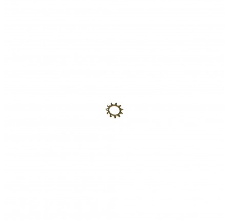 Serated Washer 7/16