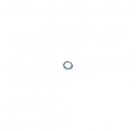 Shakeproof Washer 10mm