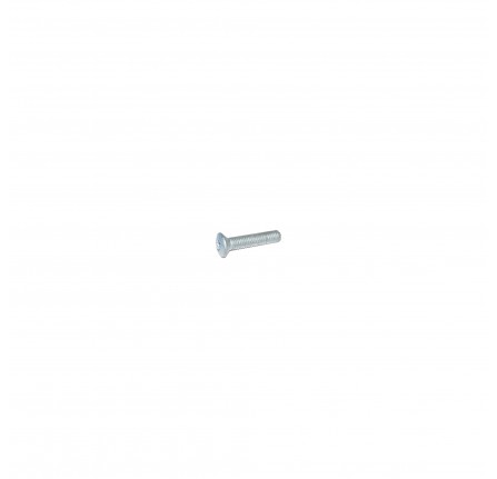 Hinge Bolt Torx M8 X40 mm