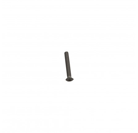 Hinge Bolt Torx M8 x 55 mm