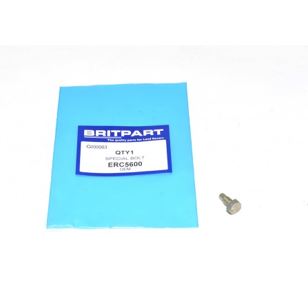 Special Screw for Water Pump Bearing 90/110 to 1994