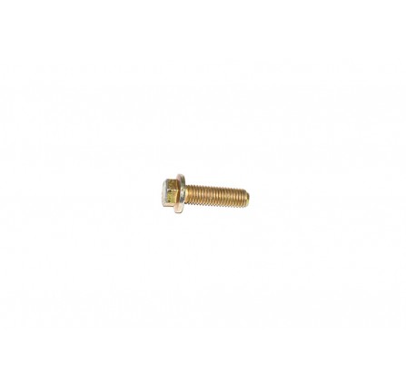 Bolt Flange Head