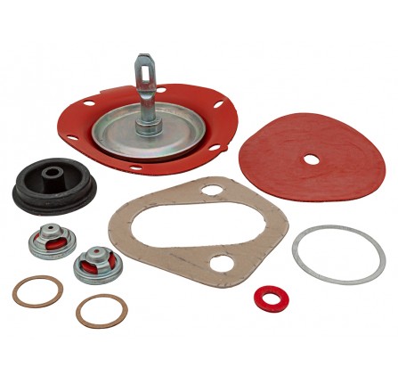 Repair Kit for Fuel Pump 2.25 and 2.5 Petrol Will Only Fit Early Type Fuel Pump with Slotted Shafts