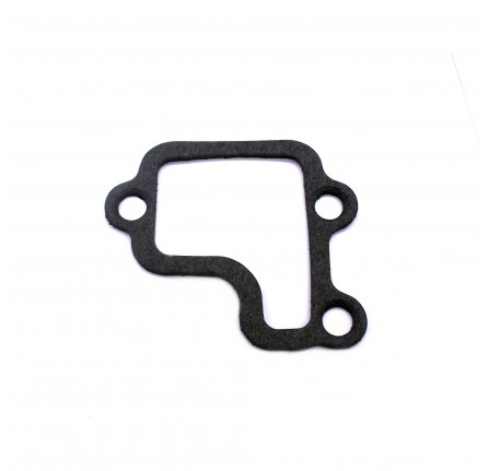 Gasket Thermostat to Head 200 TDI
