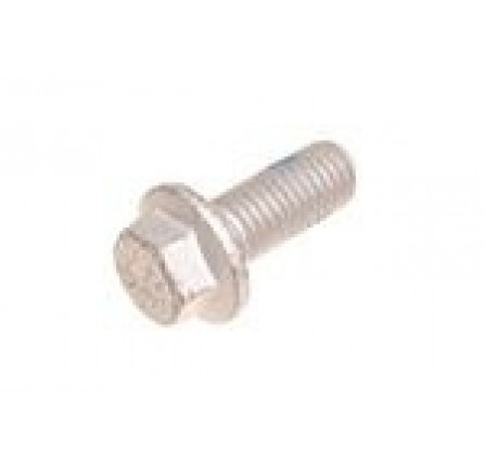 Genuine Bolt Flanged Head M10 x 25 mm