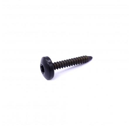 Screw Instrument Panel from 2007 Torx Head