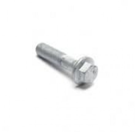 Genuine Bolt M14 x 65 mm