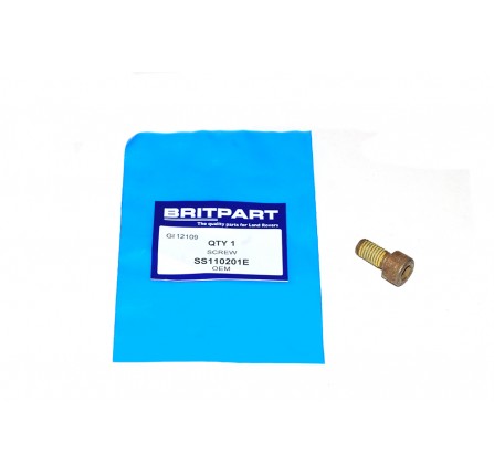 Bolt M10X20 for Timing Tensioner 300TDI and Rear Cover 2.0 Litre Tcie