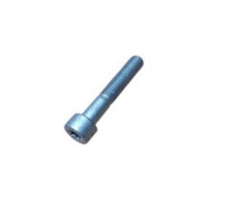 Genuine Belt Tensioner Bolt M10 x 50 Torx