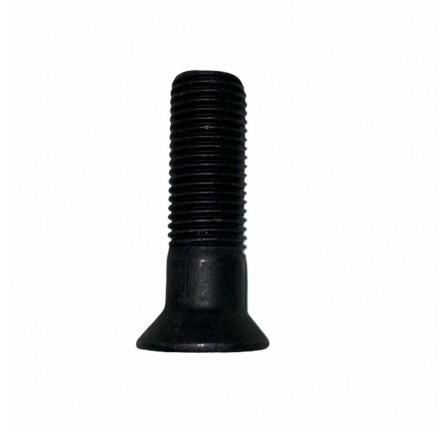 Screw Torx Countersunk