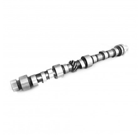 Camshaft 2 1/4 Litre Diesel upto Engine No. 36619420B Approx 1983 and 2 Litre Diesel.