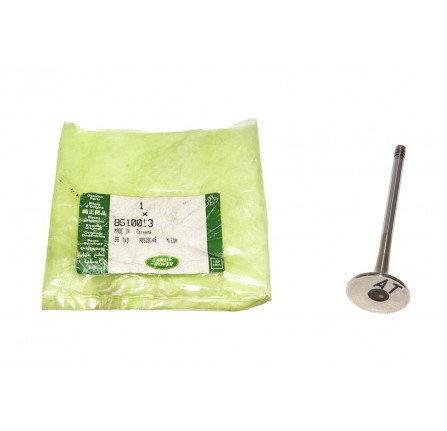 Exhaust Valve 2.5 Diesel