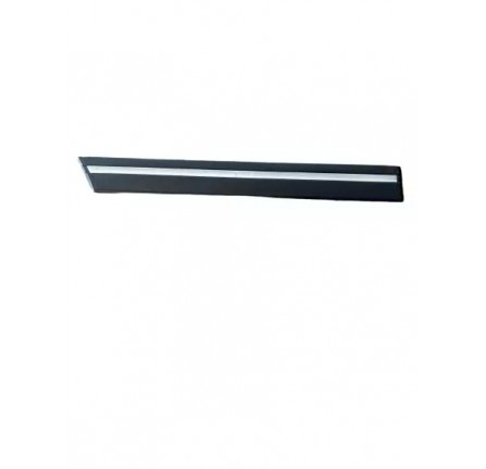 Genuine Finisher Front Door Lower LH