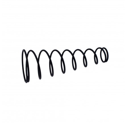 Conical Spring for Accelerator 2.6 Litre