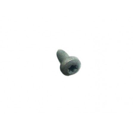 Screw M5 x 10mm Torx
