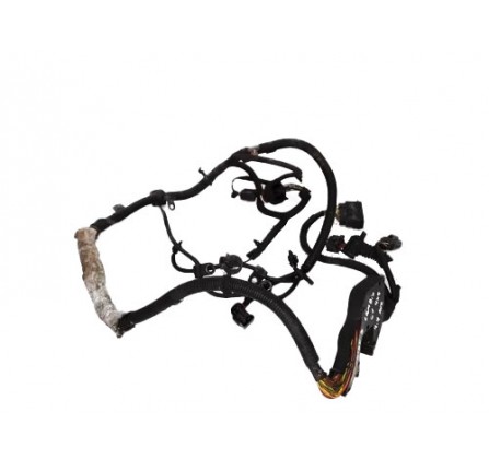 4.4 V8 Gear Box Wire Loom