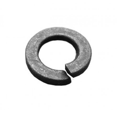 Washer - Spring