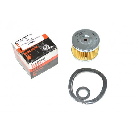 Cooper Fuel Filter Element & Seal Defender 90/Discovery 1
