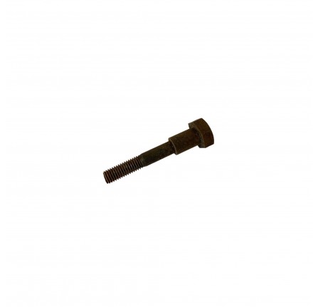 Special Bolt for Ratchet on Timing Adjuster Late Series 3 and 2.25 Petrol 90/110