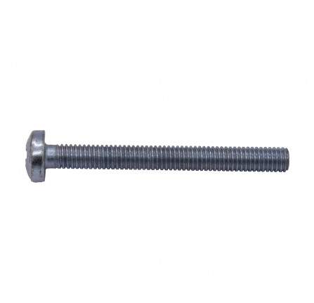 Screw M6 x 55mm Various Applications