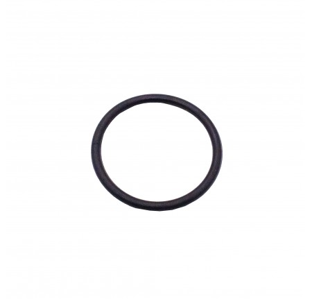 Seal Ring for Camshaft Plate 2.6 Litre