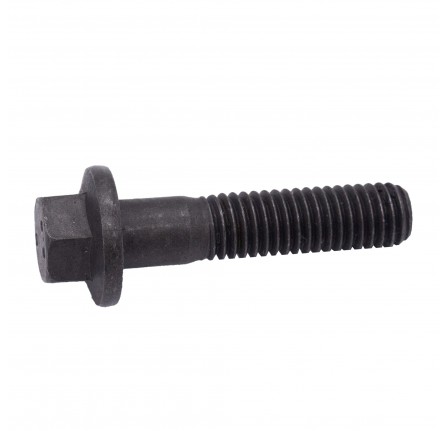 Genuine Bolt