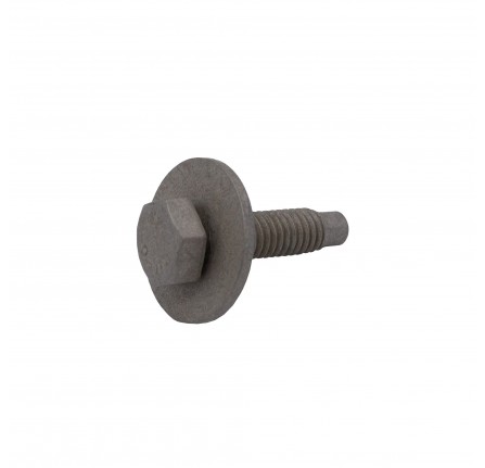 Screw