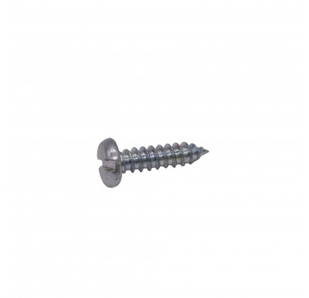 Screw