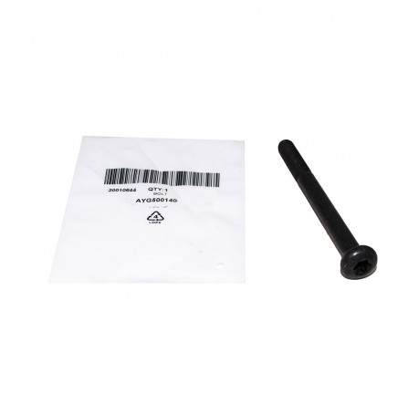 Bolt M10 x 110 mm Torx Drive