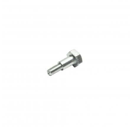 Genuine Shouldered Bolt Rear Door Check