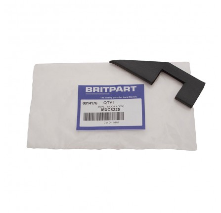 LH Door Lock Striker Seal