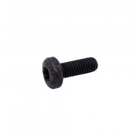 Genuine M16 x 16mm Screw