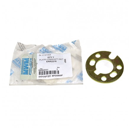 300 TDI Injection Pump Pulley Retaining Plate