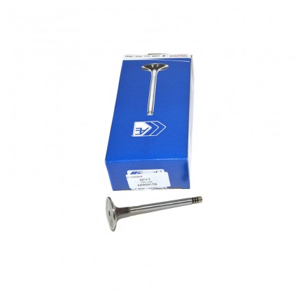 OEM Inlet Valve TD5