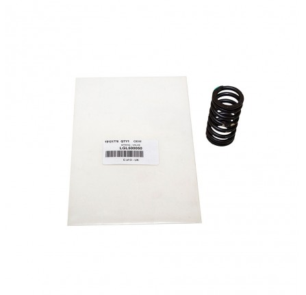 TD5 Cylinder Head Valve Spring