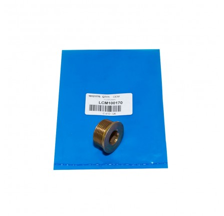 Cylinder Head Plug